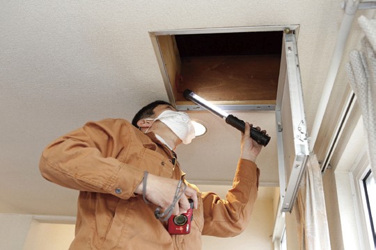 小屋裏の調査の参考写真